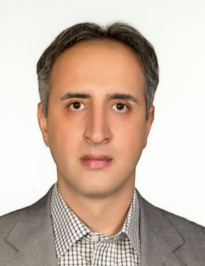 عضو تیم