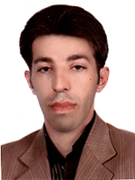 عضو تیم