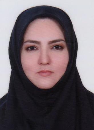 عضو تیم